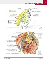 Frank H. Netter, MD - Atlas of Human Anatomy (6th ed ) 2014, page 540